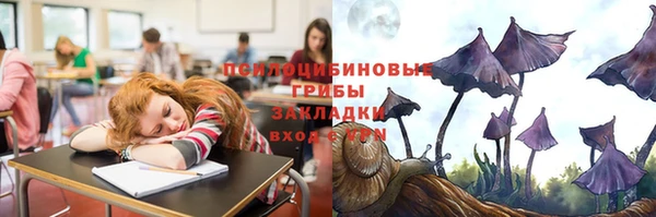 стаф Михайловка