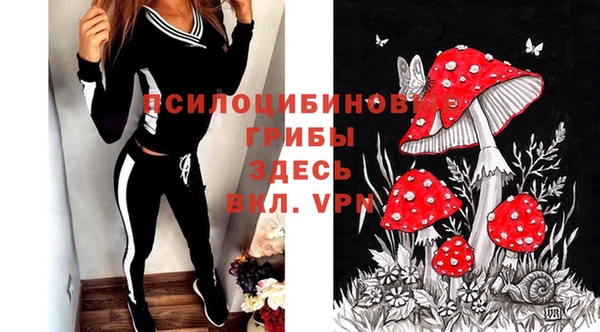 ешки Артём