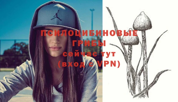 стаф Михайловка